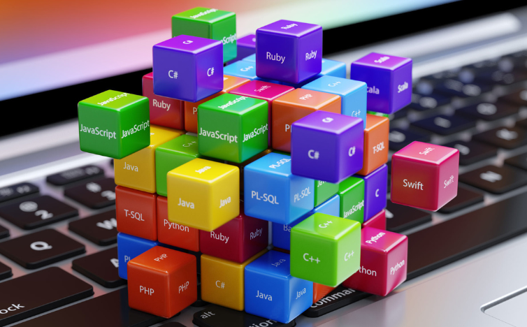 Choosing the Best Programming Language for Software Project